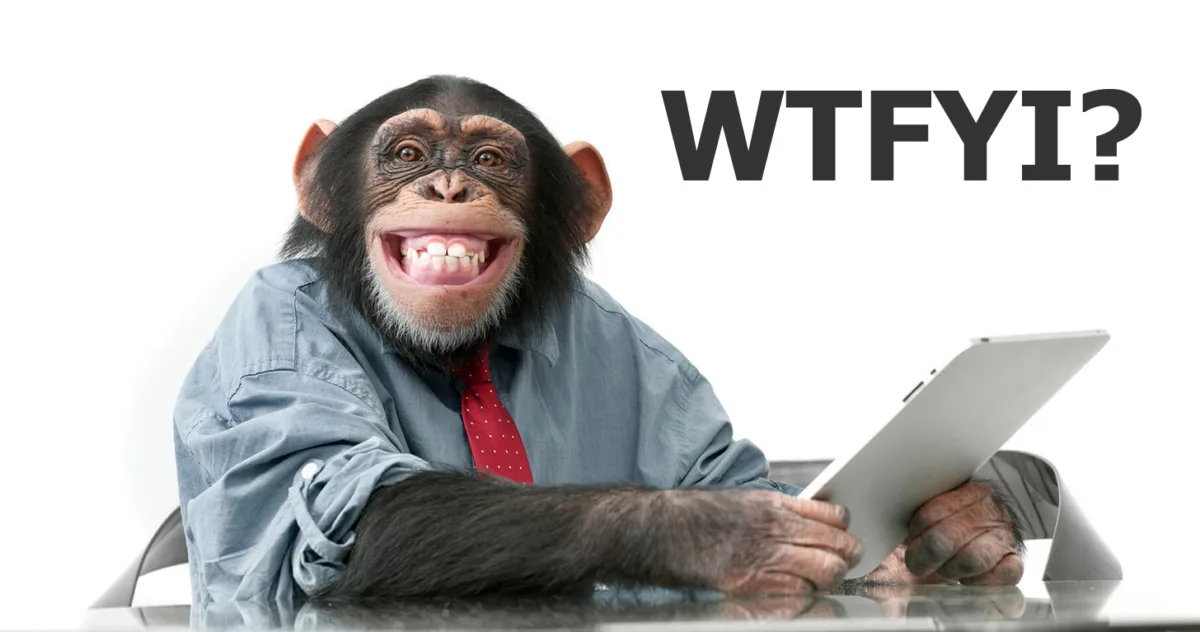 WTFYI - wtfyi.com